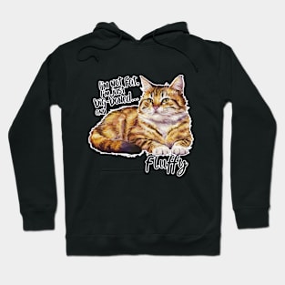 Cat Lover - Fluffy Not Fat: The Cat Body Positive Movement Hoodie